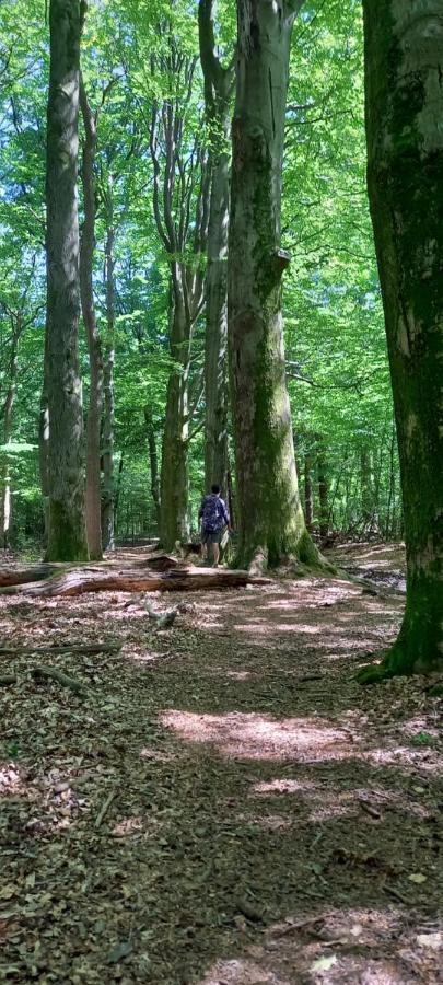 Onder De Eik Villa Ermelo Eksteriør billede